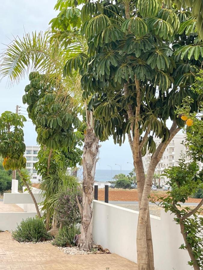 Tonia Seaview Villas Protaras Exterior photo